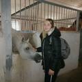 Экскурсия в Витебский областной центр олимпийского резерва по конному спорту и коневодству, расположенный в г. Барань